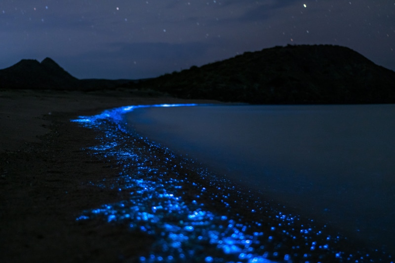 costa, tranquil scene, outdoors, water, scenics - nature, beach, bioluminicencia, tranquility, land, plankton, landscape, sea, mountain, nature, panoramic