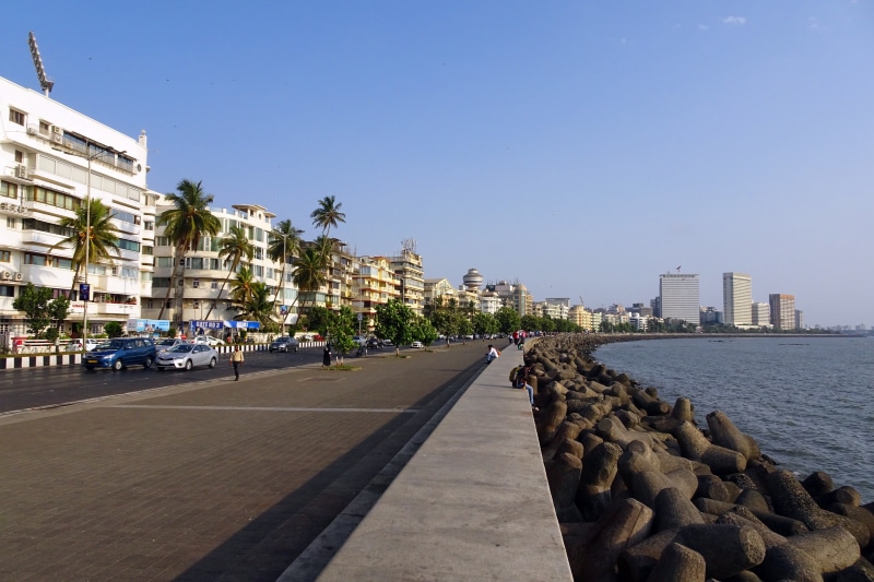 palm tree, sea, car, skyscraper, water, promenade, clear sky, incidental people, road, street, sky, building exterior, nature, nariman point, office building exterior