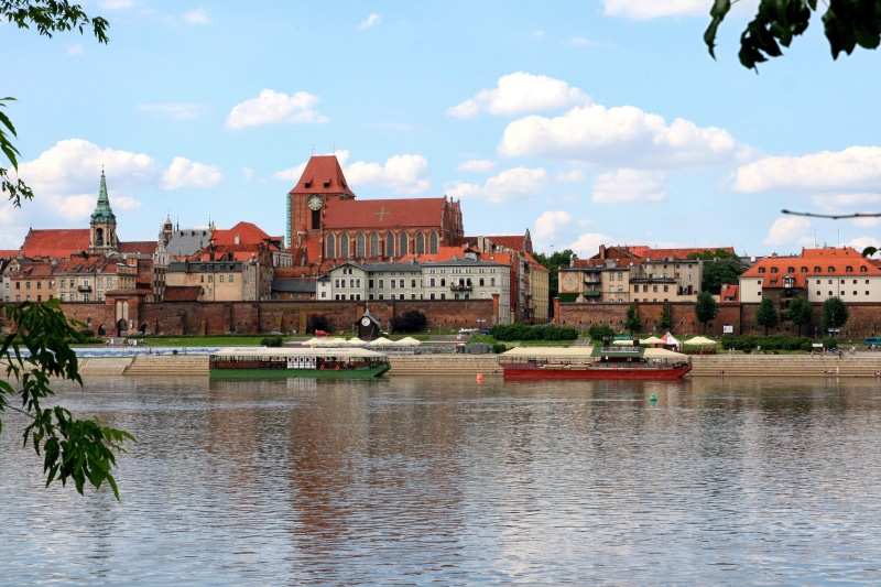 toruń, castle, cloud - sky, historically, tree, townscape, old, wisla, panorama, city, travel destinations, river, built structure, landmark, plant, boulevards