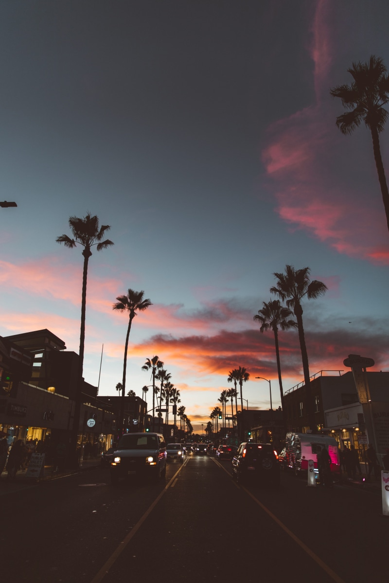 boulevard, sunrise, motor vehicle, travel, venice, silhouette, urban, road, land vehicle, golden, cloud - sky, sunset, 5K, orange color, road trip, tropical climate