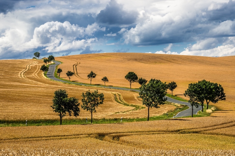 withered, landscaped, land, Curves, Countryside, nature, road, field, mit, grass, Curvy, boulevard, Sky, scenics, italy, Bäume, italian Culture, summer