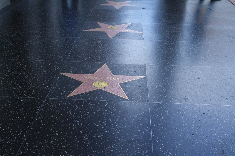 nature, blue, indoors, hollywood, no people, creativity, hollywood boulevard, close-up, transportation, sign, 4K, christmas, shape, communication, high angle view