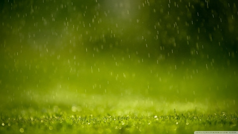abstract, weather, wet, season, green, no People, photography, lawn, morning, close-up, sprinkler, grass, beauty In Nature, sunlight, close, field, bright