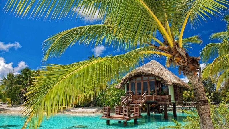 sunny, palm, travel destinations, relaxation, bridge, tropical tree, tropical climate, outdoors, leisure, beach, day, built structure, city, luxury, scenic