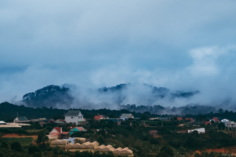 tree, 2K, cloud - sky, viet nam, backpacker, pollution, scenics - nature, residential district, no people, vietnam, beauty in nature, fog, outdoors, environment