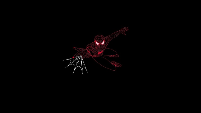 fragility, one animal, animal, animals in the wild, invertebrate, studio shot, cut out, animal themes, black background, copy space, red, Spiderman Noir