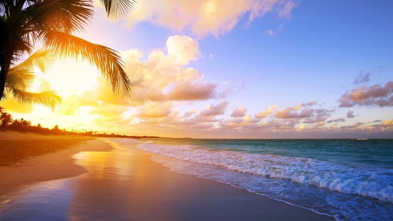 sun, sea, shore, tropics, palm, sky, daytime, beach, morning, 4K, sunlight, wave, tropical, horizon, sunrise, ocean