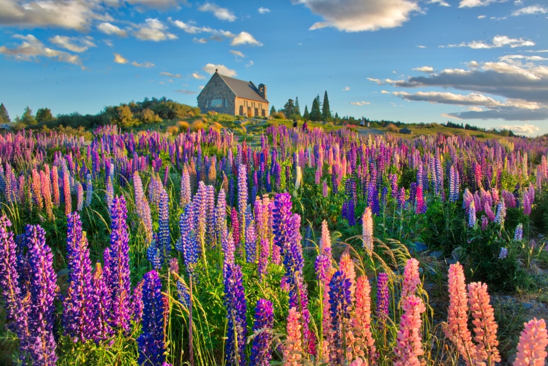 Moon, Daily, brown, New Zealand, New  Zealand, Lake Pukaki, rural Scene, Outdoor, Canterbury, lavender, Religion, Purple  Blue, Photo, Pink, daytime, Green  Mountain