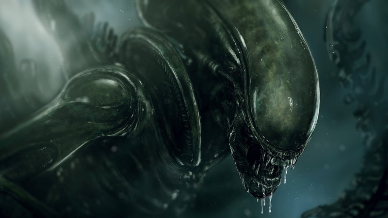 focus on foreground, indoors, household equipment, drop, underwater, 1080P, vs, animal wildlife, no people, alien, drink, marine, animal themes, Xenomorph