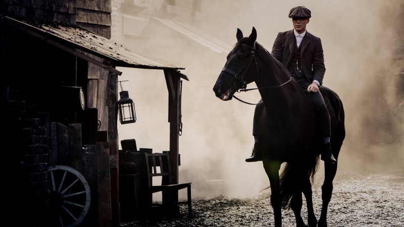 pets, men, peaky blinders, livestock, transportation, adult, vertebrate, standing, day, herbivorous, mammal, one animal, horse, portrait, full length, domestic
