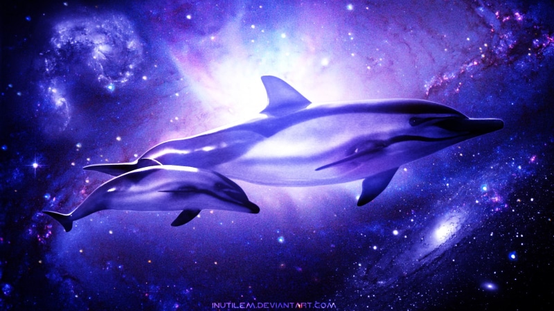 Animal, Galaxy, Dolphin, 1080P, Cosmic