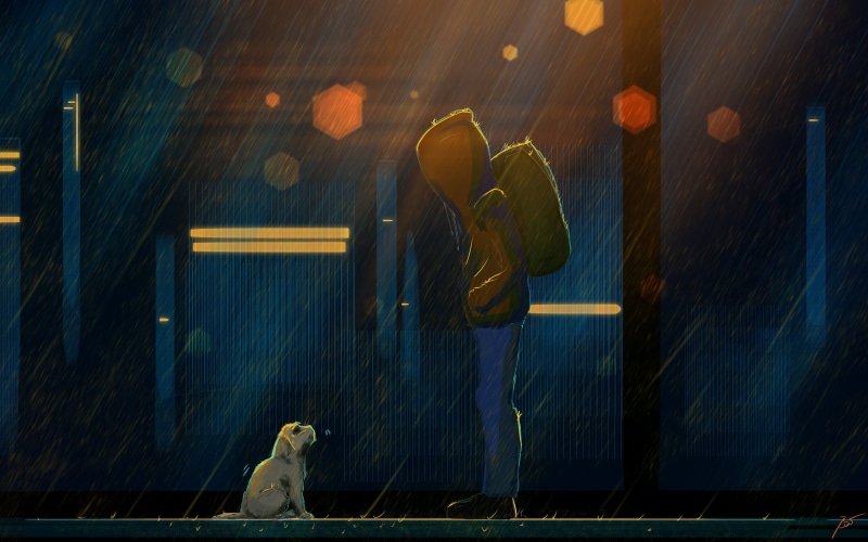 2K, Artistic, Rain, Dog, Sad, Boy