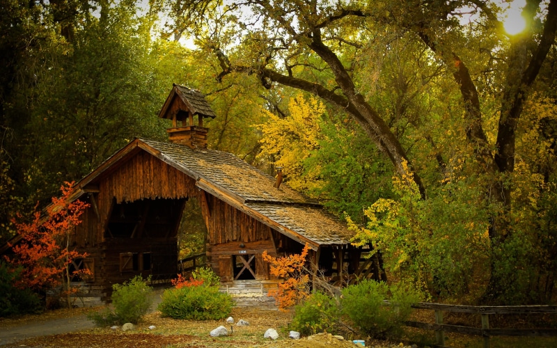 architecture, cabin, shrubs, building Exterior, rustic, no People, 2K, rural Scene, building, village, autumn, plant, famous Place, surrounded, outdoors