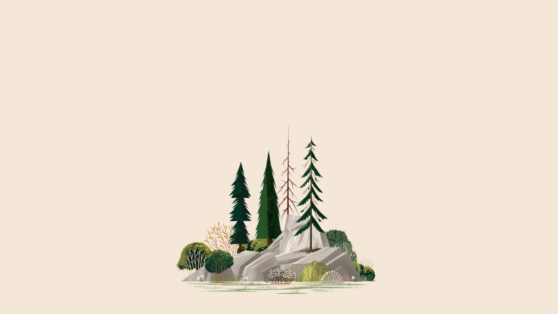 cut out, copy space, rock, clip, food and drink, leaf, studio shot, art, green, indoors, creativity, no people, trees, forest, christmas, coniferous tree