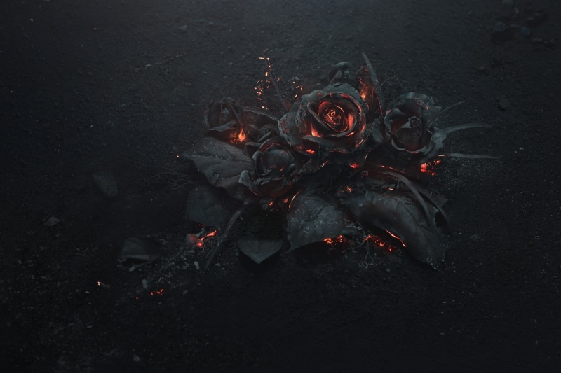 dark, flowers, rose, burning, abstract, 4K, ash, fire, black