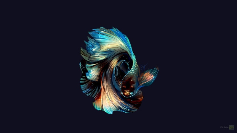 fragility, blue background, black background, pattern, softness, photo manipulation, 1080P, nature, close-up, beige, animal themes, feather, no people