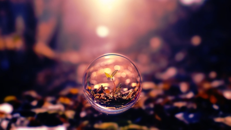 night, nature, clear, defocused, flowering plant, green, focus on foreground, digital art, artwork, illuminated, forest, bubble, reflection, outdoors, bubbles
