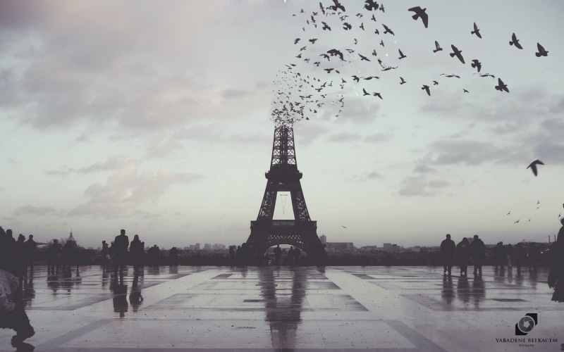 outdoors, nature, building exterior, eiffel, travel, city, tall - high, travel destinations, tourism, vertebrate, Paris, flock of birds, cloud - sky, tower