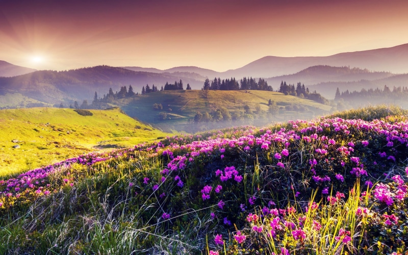 1080P, mountain, beauty in nature, purple, tranquility, beautiful nature 1920x1200, land, sky, sunrise - dawn, mountain range, grass, no people, outdoors