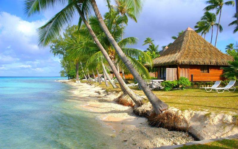outdoors, no people, roof, thatched roof, scenics - nature, palm tree, nature, land, palm trees, water, sky, sea, tranquility, tree, beauty in nature, growth