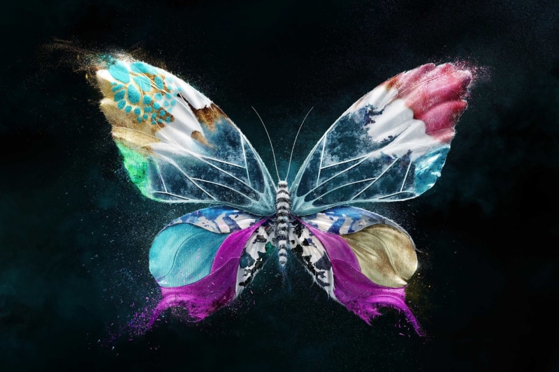 Colorful, Artistic, Colors, 1080P, Butterfly