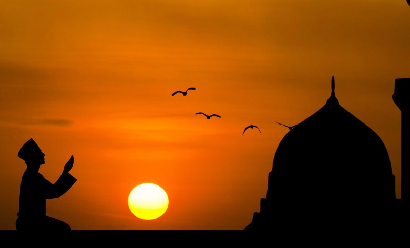 one person, salah, sunlight, silhouette, holy, person, masjid, culture, arab, sun, animals in the wild, pray, built structure, sheikh, group of animals