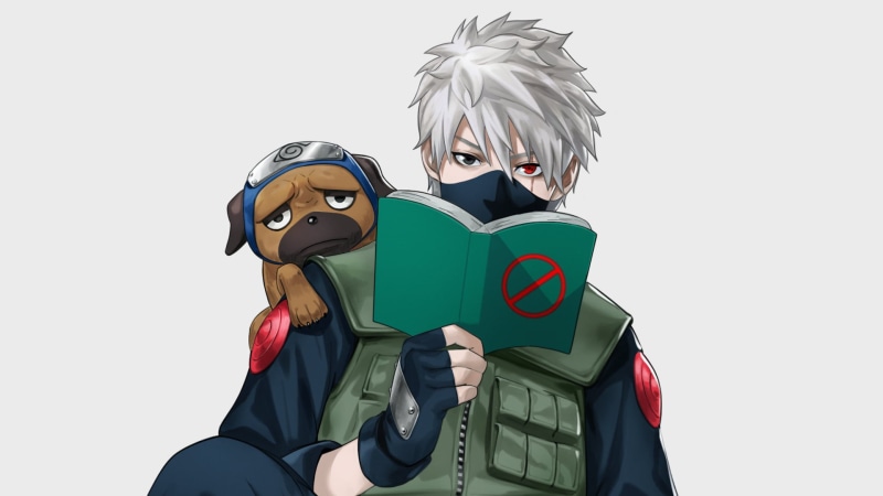 Pakkun (Naruto), 1080P, Naruto, Kakashi Hatake