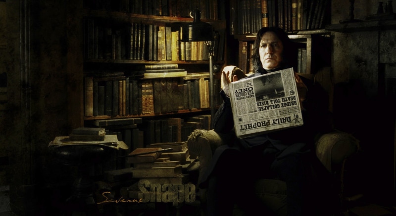 caucasian Ethnicity, books, studying, potter, males, indoors, shelf, literature, harry potte, harry, publication, real people, dark, severus, Severus Snape