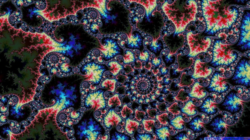 natural pattern, 1080P, multi colored, magnification, trippy, complexity, indoors, invertebrate, marine, psychedelic, close-up, backgrounds, beauty in nature