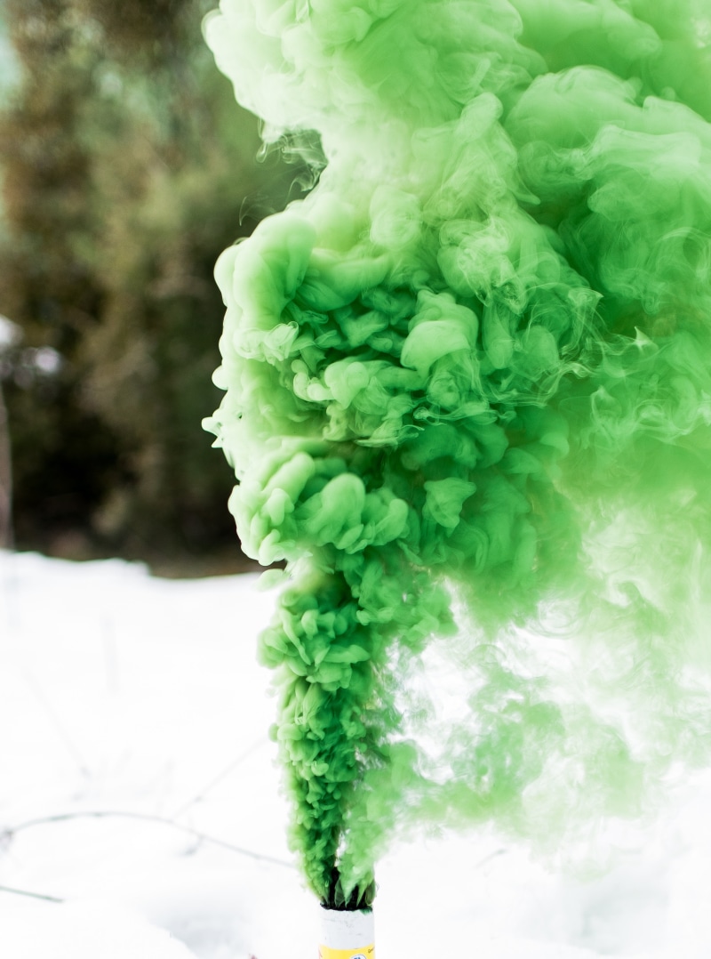 creativity, day, food, vegetable, white, close-up, 4K, plant, green, backgrounds, decoration, healthy eating, motion, organic, green Color, smoke, freshness