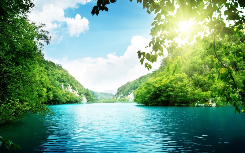 2K, lake, lake desktop background, green forest, reflection, forest background, calm, forest