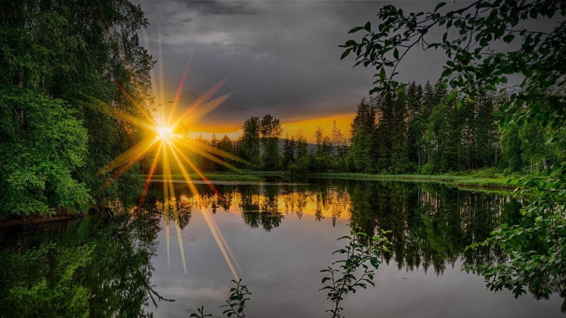 sunray, reflected, sun, 1080P, water, reflection, lake, nature, forest