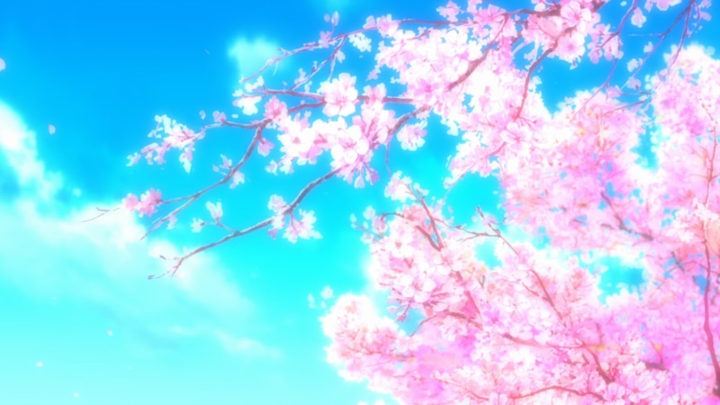 1080P, Anime, Sakura Blossom, Sakura Tree, Cherry Blossom, Sakura, Hyouka