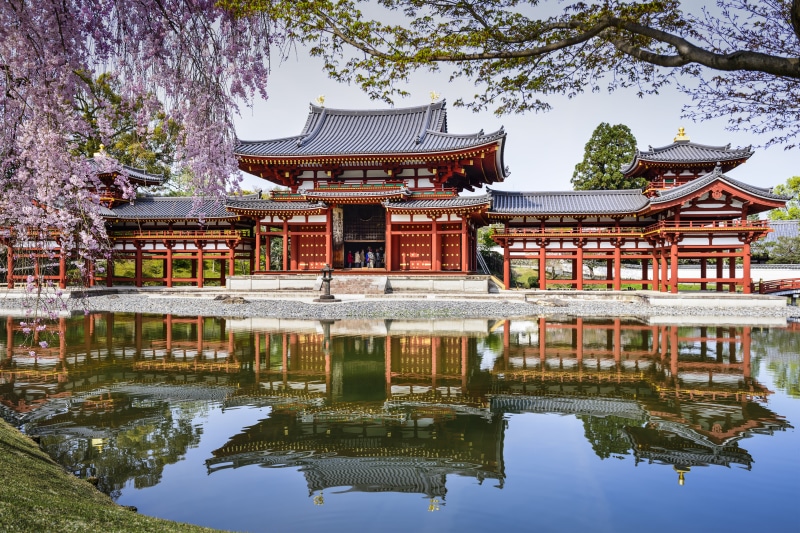 buddhism, Sakura, tourism, gate, kyoto City, pavilion, religion, pond, Uji, gyeongbokgung Palace, outdoors, roof, built Structure, plant, nature, belief