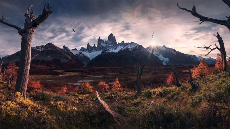 highland, wilderness, 1080P, los glaciares national park, national park, nature, fitz roy, cerro chalten, tree, mountainous landforms, el chalten, mountain range