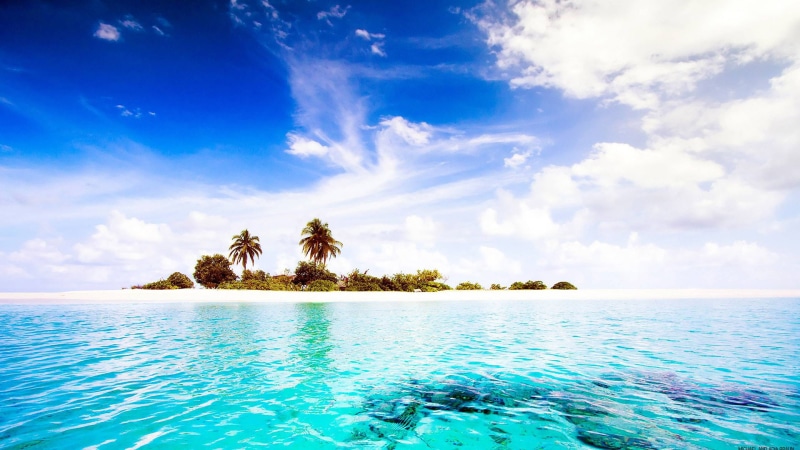 scene, 1080P, sunny, wave, seascape, ocean, cloud, travel, paradise, water, sun, sunlight, resort, tree, palm, relaxation, relax, sea, clear, coastline