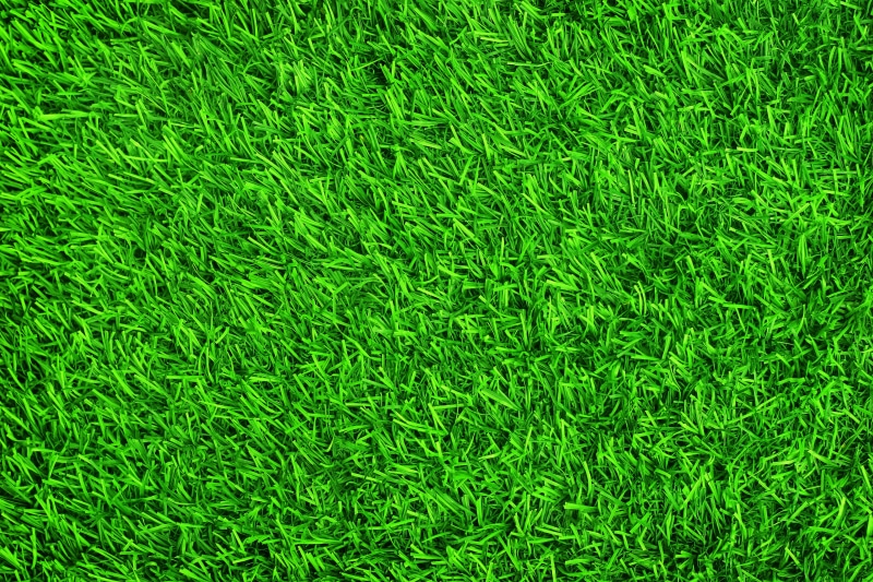 outdoors, sport, textured, full frame, abstract, summer, close-up, land, growth, field, springtime, 5K, plant, nature, pattern, backdrop, grass Area, lawn