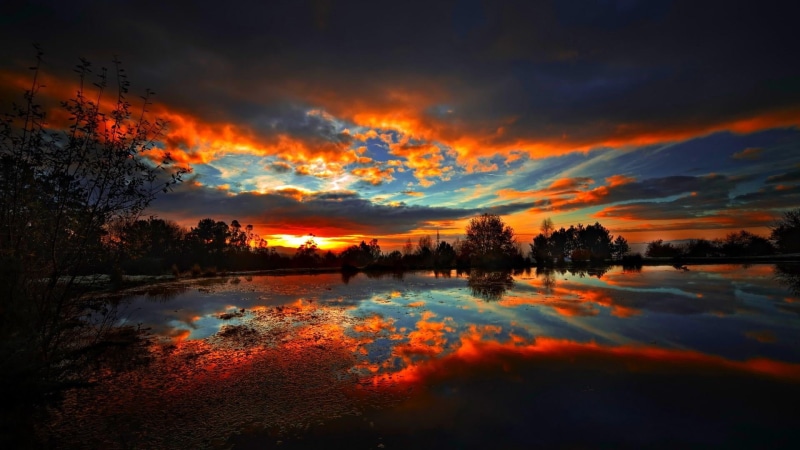 plant, red sky, dusk, no people, tranquility, sunset, reflected, scenics - nature, reflection, afterglow, lake, sky, dawn, tranquil scene, nature, dramatic sky