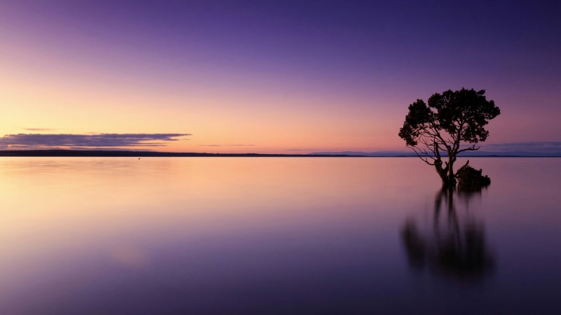 lone tree, beautiful, sunset, tranquil scene, afterglow, plant, no people, horizon, sky, cloud - sky, dusk, horizon over water, silhouette, outdoors, beauty in nature