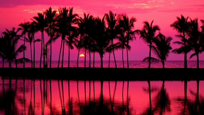 pink sky, silhouette, 1080P, afterglow, pink sunset, calm, palm tree, reflection, trees, sunset, red sky, evening, usa, waikoloa village, palms, dusk