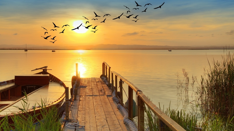 lake, shore, amazing, stunning, calm, pier, boat, lakeside, reeds, birds, sky, 4K, nature, water, morning, horizon, dawn, sunrise, reflection, sunlight