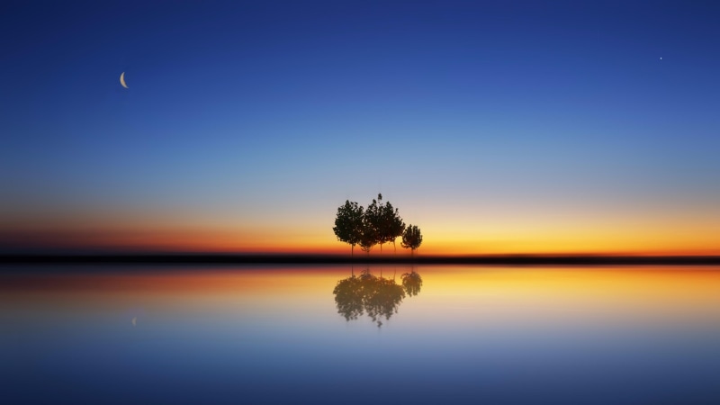 water, reflection, evening, tree, horizon, lake, trees, sunset, calm, moonlight, nature, night, 4K, lonely, sky, moon
