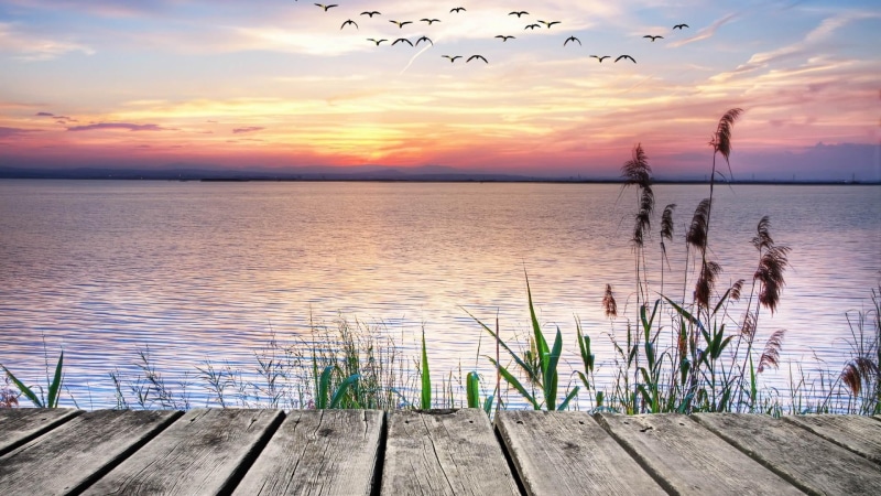 wooden, lake, plant, 1080P, nature, shore, birds, tranquility, sunlight, calm, reflection, sea, pier, sunset, cloud - sky, outdoors, water, horizon over water