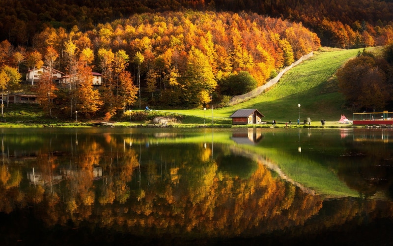 lake, table, mode of transportation, wooden, reflection, autumn, no people, non-urban scene, day, grass, scenics - nature, train, nature, tree, tranquility