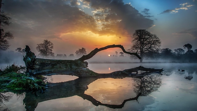 evening, morning, tree, water, dust, mist, dawn, lake, fog, atmosphere, 1080P, misty, sunset, sunrise, landscape, nature, foggy, reflection, sky