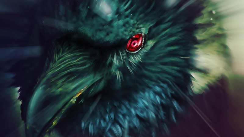 one animal, no people, feather, focus on foreground, Mangekyou Sharingan, bird, animal body part, crow, Naruto Shippuuden, close-up, green color, artwork