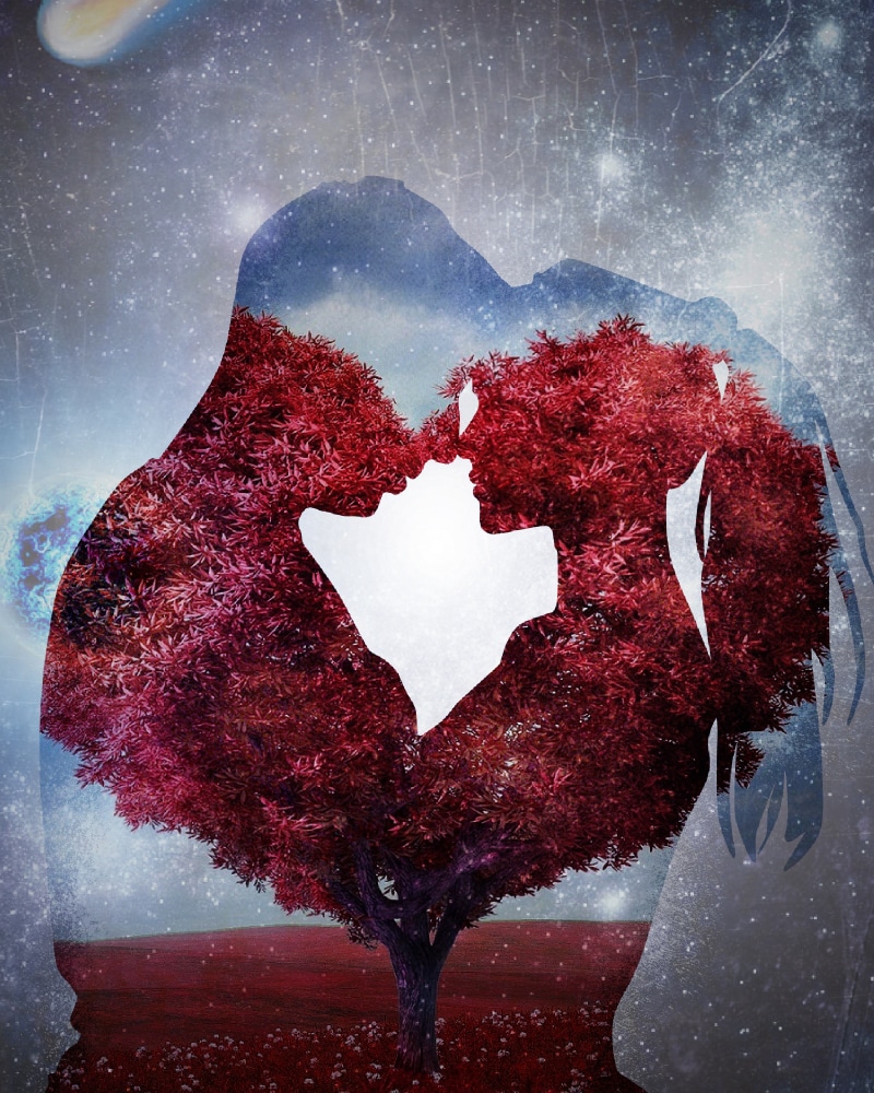 passion, close-up, red, tree, cold temperature, nature, beauty in nature, valentines day - holiday, blizzard, creativity, heart shape, silhouette, positive emotion