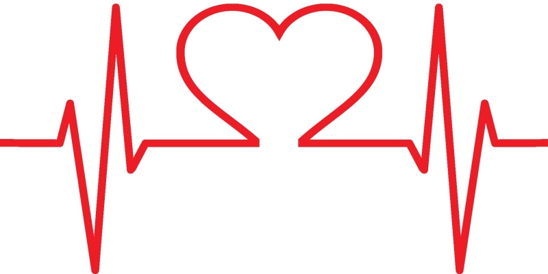 close-up, still life, taking Pulse, heart health, design, valentines day - holiday, health, pulse Trace, no people, medical icons, cardiologist, heart
