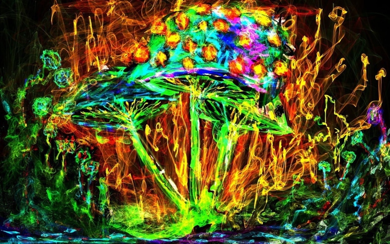 nature, complexity, 720P, illuminated, pattern, multicolored, abstract, colorful, light trail, multi colored, blurred motion, light - natural phenomenon