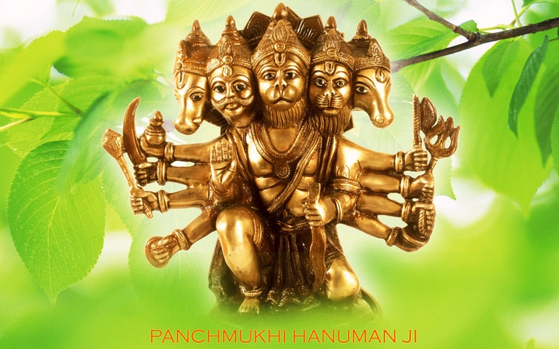 no people, figurine, hanuman, male likeness, human representation, leaf, religion, Lord Hanuman, hindu, outdoors, belief, representation, plant part, nature
